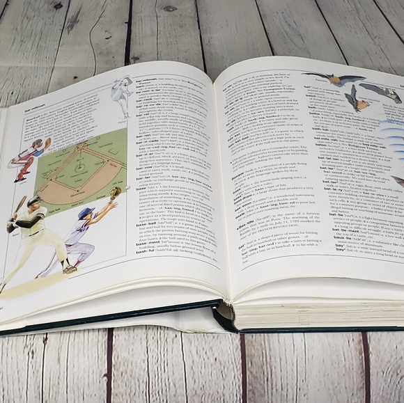 Kingfisher Children's Dictionary - Picture 4 of 4